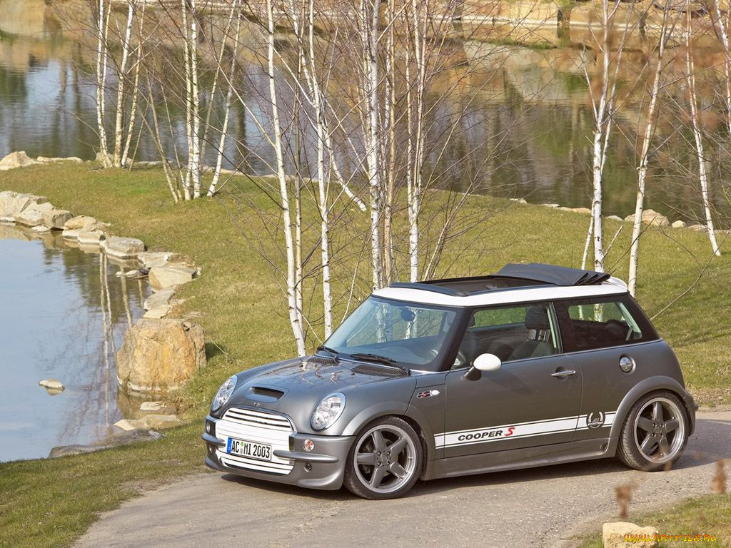 ac, schnitzer, mini, cooper, 